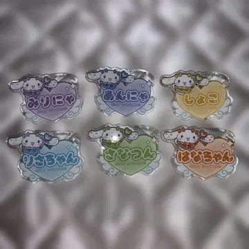 이코럽 오리지널 아크릴 네임 배지 6개 세트