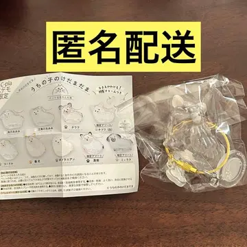 우리 집 강아지 털뭉치 치와와 화이트 한정판