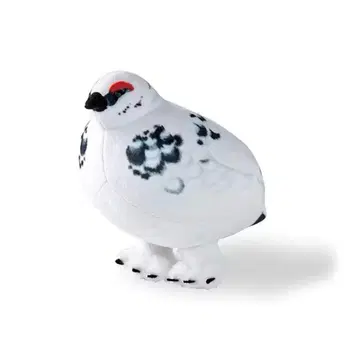 미개봉 새상품 펠리시모 토코토코 라이초 파우치 수컷 겨울 모습