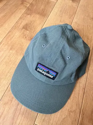 Patagonia 모자 챕