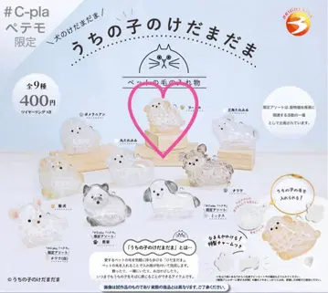 정품 우리 아이 털뭉치 강아지 푸들