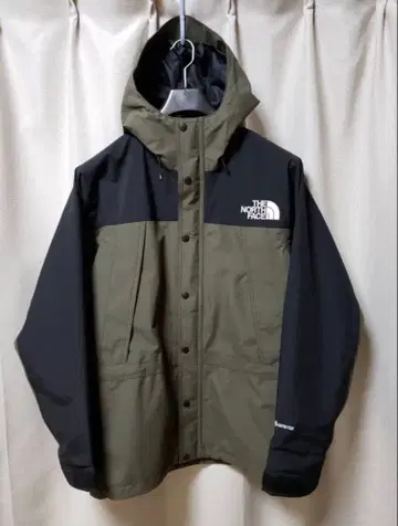 THE NORTH FACE MOUNTAIN LIGHT JACKET
