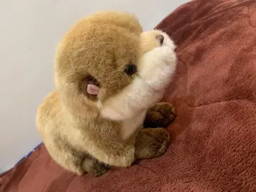 미사용 새상품 프레리도그 봉제 인형