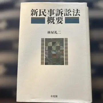 신민사소송법 개요