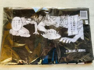 진격의 거인 타월