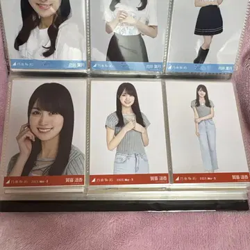 노기자카 카키 하루카 브로마이드 컴프 2023.05