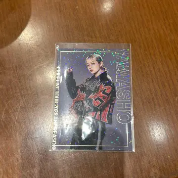 THE REASON 야마모토 쇼고 포토 카드 시크릿 시크레 EXILE