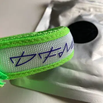 Rip Slyme 블레스라이트 그린 미사용 립 슬라임