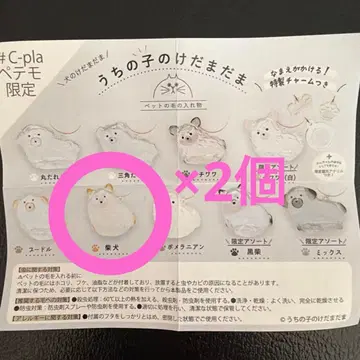 정품 우리 아이 털뭉치 시바견 2개 세트