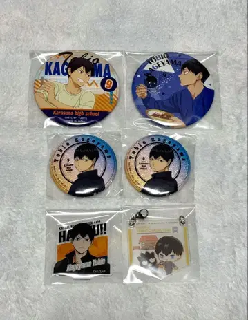 하이큐 카게야마 토비오 캔뱃지 아크릴 키링 색지 파샤코레