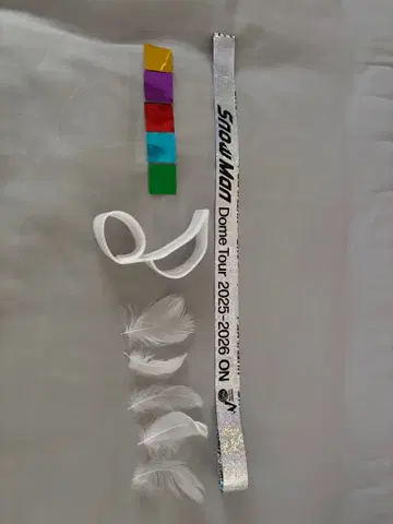 Snow Man Dome Tour 2025-2026 ON 낙하물 세트