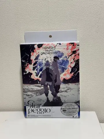 Star Peggio 미드나잇 그랜드 오케스트라