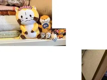 봉제 인형 세트