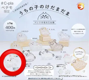 우리 아이 털뭉치 치와와(화이트) 한정판