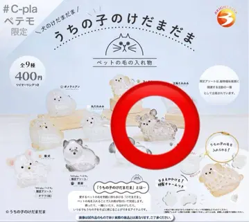 우리 아이 털뭉치 치와와 (블랙)