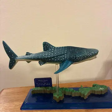 레어!! 고래상어 츄라우미 수족관 피규어 오키나와 한정판