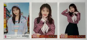 [ 무카이치 미온 ] 난테탓테 AKB48 브로마이드 3종 세트