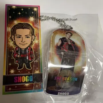 이와타니 쇼고 키링 씰 THE REASON