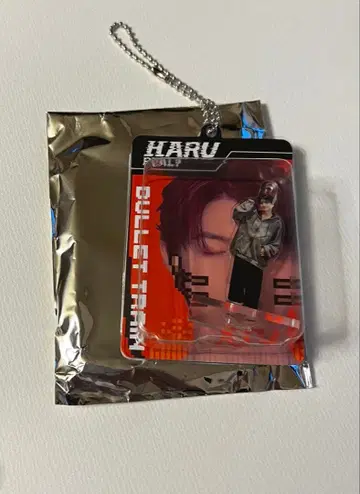 초특급 REAL? 블리스터 키링 하루