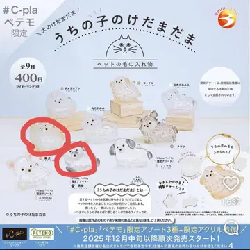 우리 아이 털뭉치 시바견 블랙 시바 2개 세트