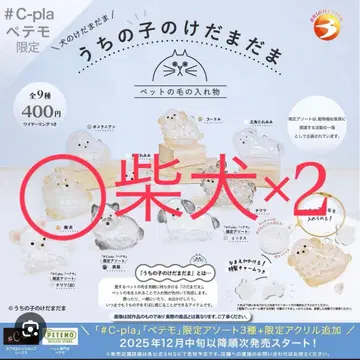 정품 우리 아이 털뭉치 시바견 2개 세트