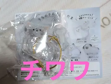 우리 아이 털뭉치 치와와 페테모 한정판