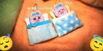 [레어] 빤쮸토끼 곤히 잠드는 세트입니다^_^