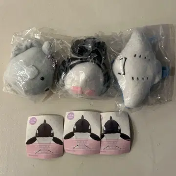 키탄클럽 수족관의 생물 2 마젤란펭귄 개복치 가오리