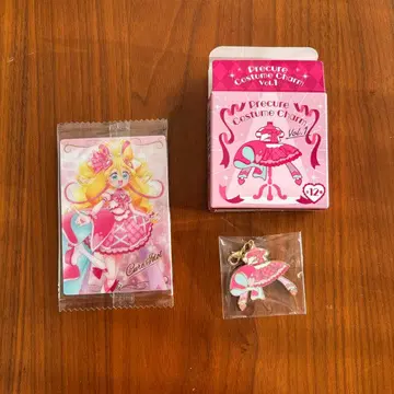 프리큐어 코스튬 참 키미와 아이돌 프리큐어 큐어 아이돌