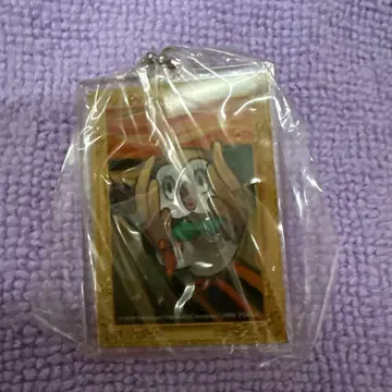 뭉크전 포켓몬 키링 모크로