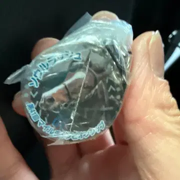 서울 러쉬 아이돌 호스 미니 컬렉션 41