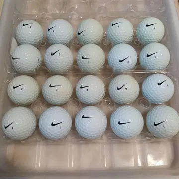 로스트볼 ONE PLATINUM 20구