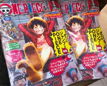 ONE PIECE magazine 원피스 매거진 20호 미개봉 새상품