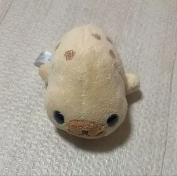 마메고마 소금고마