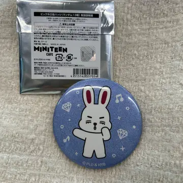 SEVENTEEN MINITEEN 미니틴 카페 에스쿱스 캔뱃지