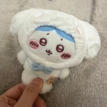 치이카와 산리오 콜라보 하치와레 시나몬