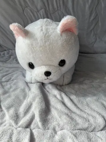 개와 물고기 봉제 인형 세트