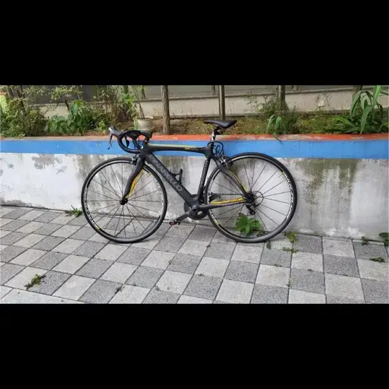 피나렐로 FP team 로드자전거
