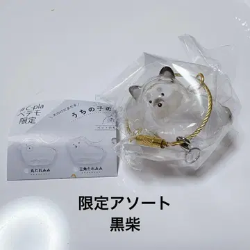 우리 아이 털뭉치 강아지 털뭉치