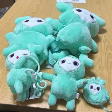 트와이스 미나 브리 세트