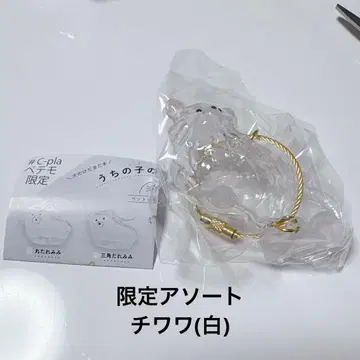 우리 아이 털뭉치 강아지 털뭉치