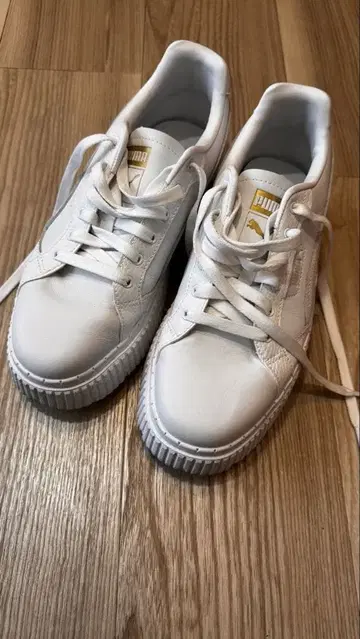 푸마 스니커즈 디너라 여성용 통굽 DINARA 화이트