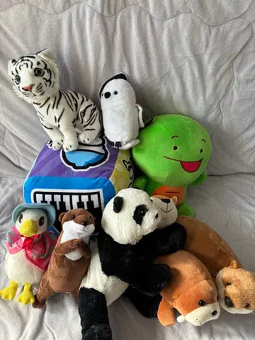 동물 봉제 인형 세트 소형 중형