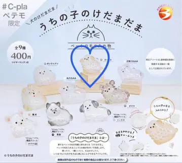 정품 우리 아이 털뭉치 강아지 푸들 2