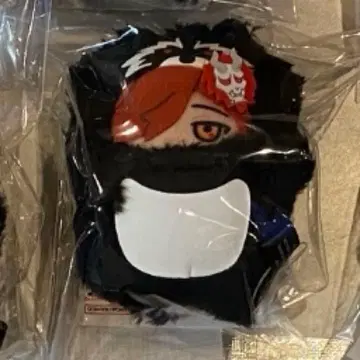 crazy raccoon CR FRIEND 아리사카 봉제 인형