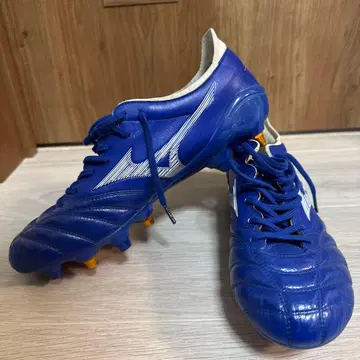 모렐리아 네오 3