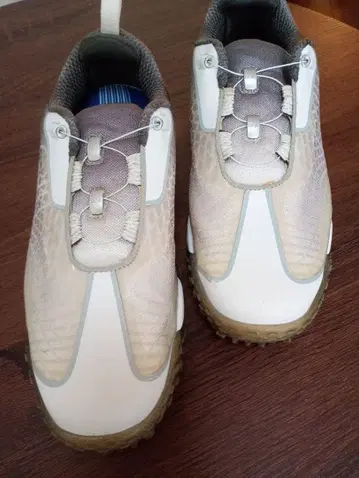 FJ 골프화 BOA 다이얼 시스템