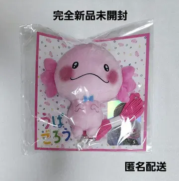 FANTASTICS 사토 타이키 produce 우파고로 패스 케이스