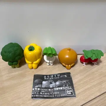 마치보케 채소의 경우 컴플리트 5체 세트