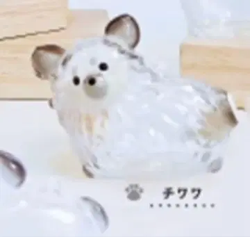 치와와 블랙 우리 아이의 털뭉치